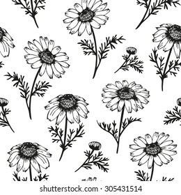 Camomile seamless background