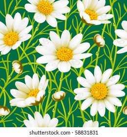 Camomile seamless background