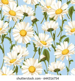 Camomile seamless pattern