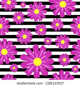 Camomile seamless pattern with white and black strips in background
