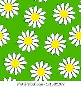 Camomile seamless vector pattern. White flowers with yellow centers isolated on green background. Flower ornament. Cute plant illustration for wallpaper, wrapping paper, clothing, prints, packaging