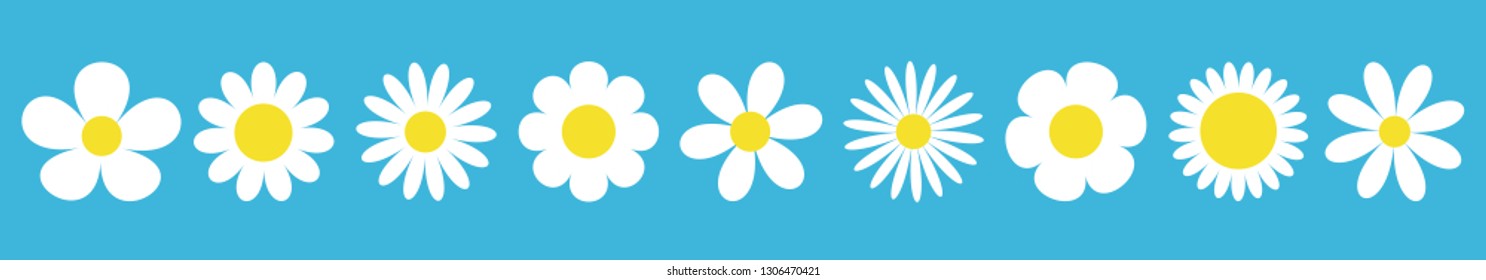 Camomile set line. White daisy chamomile icon. Cute round flower plant collection. Love card symbol. Growing concept. Blue background. Isolated. Flat design. Vector illustration