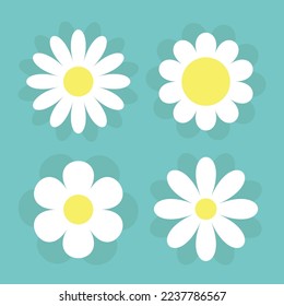 Camomile set with shadow. Four white daisy chamomile icon. Cute round flower plant collection. Love card symbol. Yellow circle. Growing concept. Flat design. Green background. Isolated. Vector