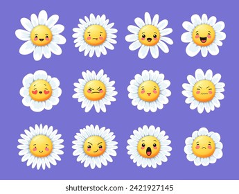 Camomile smile daisy flower characters. Cartoon chamomile vector cute personages happy smiling, sad, angry and cheerful, foolish, surprised faces. Garden daisy or camomile flower funny stickers