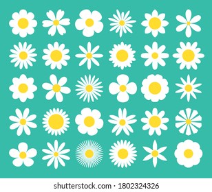 Camomile super big set. White daisy chamomile icon. Cute round flower plant nature collection. Love card symbol. Decoration element. Growing concept. Flat design. Green background. Isolated. Vector