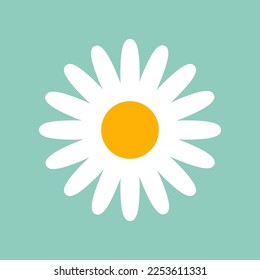 Camomile with thin petals on mint background vector illustration. Cartoon drawing of chamomile or daisy for decoration or pattern design. Blossom, spring flowers, summer, nature concept
