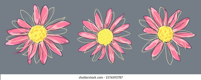 Camomile Vector, Decorative Picture With A Camomile. Drawing Sketch Flower Art. Vector Illustration. Daisies.