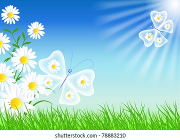 Camomiles, butterflies and blue sky