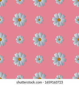 Camomiles. Delicate white flowers. Repeating vector pattern. Isolated pink background. Snow-white daisies. Seamless summer ornament. Delicate floral background. Flat style. Flowering plant. 