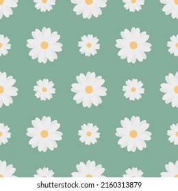 Camomiles. Delicate white flowers. Repeating vector pattern. Isolated green background. White daisies. Seamless summer ornament. Delicate floral background. Flat style. Flowering plant. 