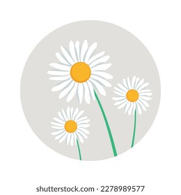 Ilustración vectorial del emblema redondo de estilo plano de camomilos