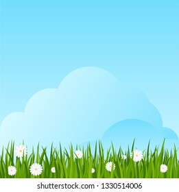 Camomiles and a green grass border on blue sky background. Template for summer cards for birthday and holidays. Flat vector cartoon illustration.