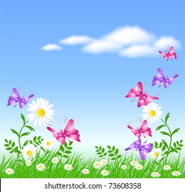 Camomiles on the green grass and butterflies