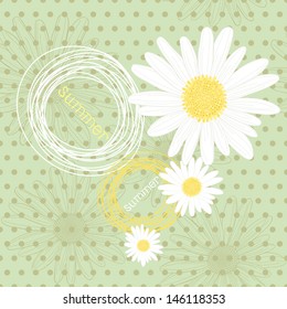 Camomiles. Seamless floral background.