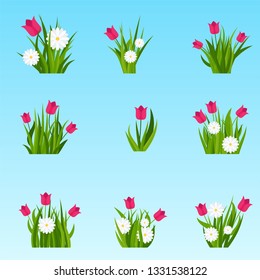 Camomiles and tulip in green grass tufts on blue sky background. Template for summer cards for birthday and holidays. Flat vector cartoon illustration.