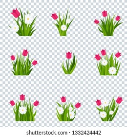 Camomiles and tulip in green grass tufts on transparent background. Template for summer cards for birthday and holidays. Flat vector cartoon illustration.