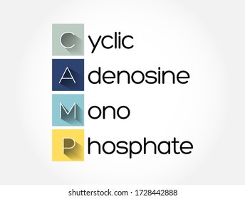 CAMP - Cyclic Adenosine MonoPhosphate acronym, medical concept background