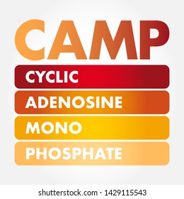 CAMP Cyclic Adenosine MonoPhosphate - second messenger important in many biological processes, acronym text concept background