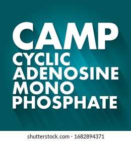 CAMP Cyclic Adenosine MonoPhosphate - second messenger important in many biological processes, acronym text concept background