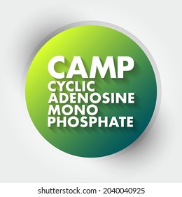CAMP Cyclic Adenosine MonoPhosphate - second messenger important in many biological processes, acronym text concept background