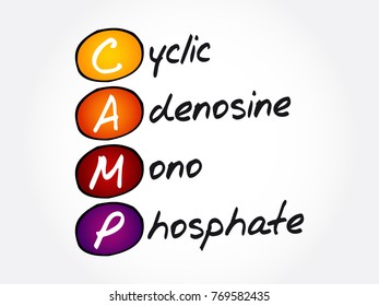 CAMP Cyclic Adenosine MonoPhosphate - second messenger important in many biological processes, acronym text concept background