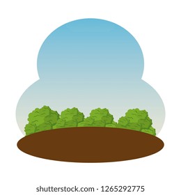 camp field landscape scene