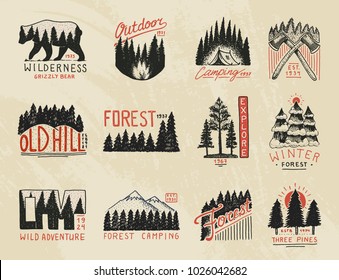 camp logo, mountains coniferous forest badges. engraved hand drawn in old vintage sketch. outdoor adventure landscapes with pine trees and hills. emblem tent tourist, travel for labels.