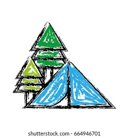 camp with trees and natural adventure