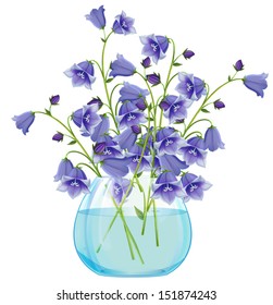 Campanula bell flowers in glass vase, isolated on white, vector