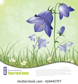 Campanula, flower bell, vector illustration, eps-10