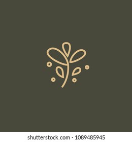 Campanula logo. Wedding floral icon. Luxury retro emblem. Cosmetics, Spa, Beauty salon, Decoration, Boutique vector logo. Royal Jewelry, Yoga, Premium Logo. Resort and Restaurant design illustration