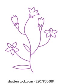 Campanula in outline style. Beautiful wildflower.