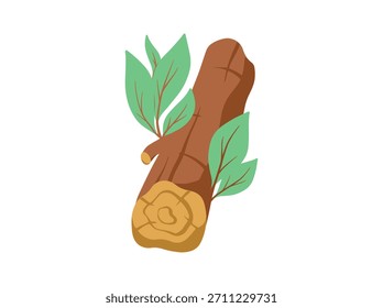 Campfire Wood with Leaf for Camping