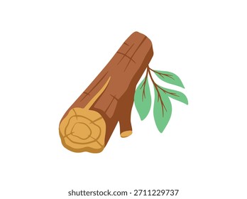 Campfire Madeira com folha para acampamento