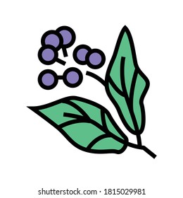 Camphor Aromatherapie Symbol Vektorgrafik. Aromatherapie-Zeichen für Kampfer. einzelne Symbolillustration