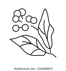 camphor aromatherapy line icon vector. camphor aromatherapy sign. isolated contour symbol black illustration