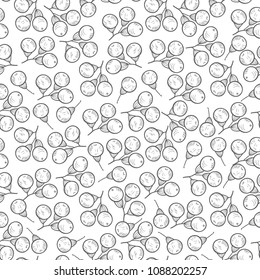 Camphor. Berries. Wallpaper, seamless. On a white background. Sketch. Monochrome