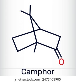 Camphor molecule. It is terpenoid and a cyclic ketone. Structural chemical formula and molecule model. Vector illustration