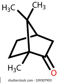 Camphor structural formula