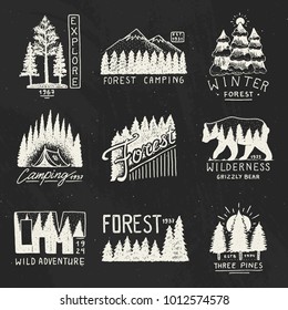 camping badges, mountains coniferous forest and wooden logo. wild nature. landscapes with pine trees and hills. emblem tent tourist, travel for labels. engraved hand drawn in old vintage sketch