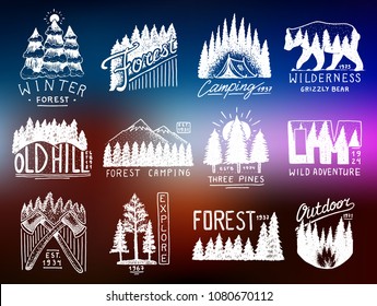 camping badges, mountains coniferous forest and wooden logo. wild nature. landscapes with pine trees and hills. emblem tent tourist, travel for labels. engraved hand drawn in old vintage sketch