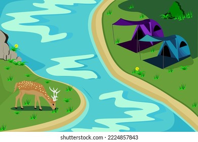 Camping by the stream in the middle of the forest,Watch the deer grazing in the middle of nature.