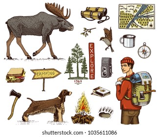 camping equipment set, outdoor adventure, hiking. Traveling man with luggage. tourism trip. engraved hand drawn in old sketch. moose and dog, sandwich and binoculars, camera. backpack.