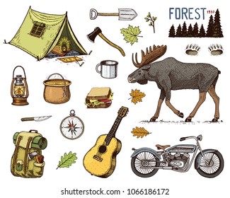 camping equipment set, outdoor adventure, hiking. Traveling man with luggage. tourism trip. engraved hand drawn in old sketch. moose and motorcycle, sandwich and binoculars, camera. backpack and tent.