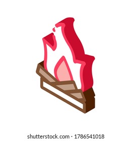 Camping Fire with Firewood Icon Vector. Isometric Camping Fire with Firewood sign. color isolated symbol illustration