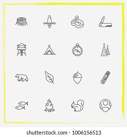 Camping line icon set bear, tree and compass
