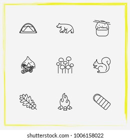 Camping line icon set bear, bonfire and tree leaf