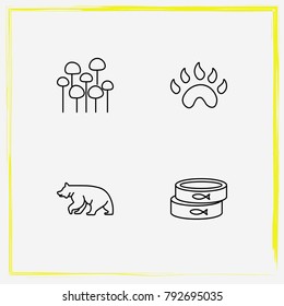 Camping line icon set bear, paw and conservative