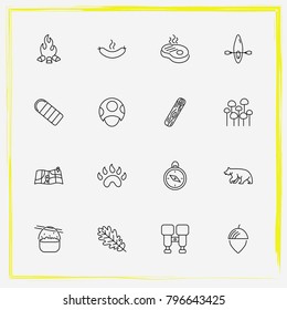 Camping line icon set bear, log and tree leaf