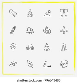Camping line icon set bonfire, tree and squirrel